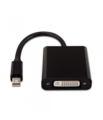 V7 Black Video Adapter Mini DisplayPort Male to DVI-D Male