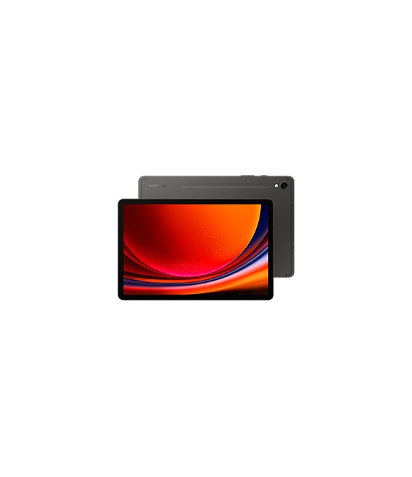 Samsung Tab S9 11.0 WIFI 256GB G | SM-X710NZAEEUB | 8806095084046