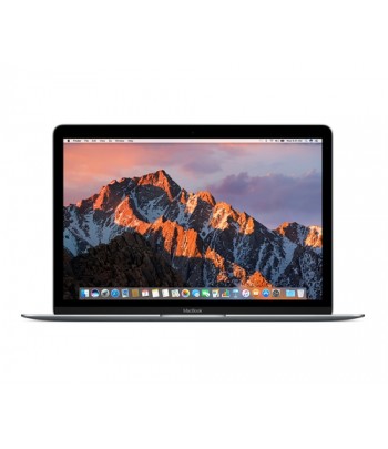 Apple MacBook 1.2GHz 12" 2304 x 1440pixels Grey Notebook
